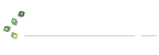 Création de site internet en corse Isula Informatique